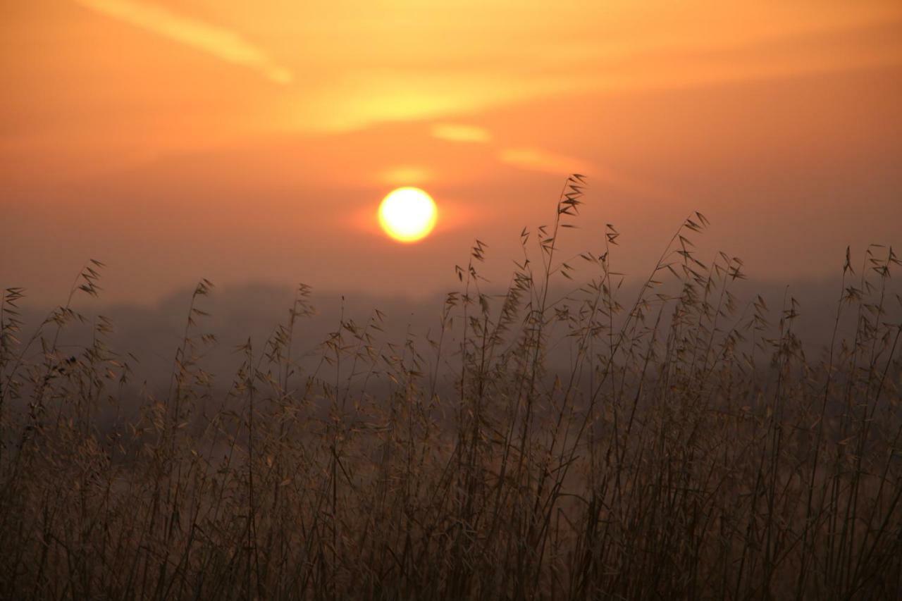 Vila Monte Da Azarujinha Azaruja Exteriér fotografie