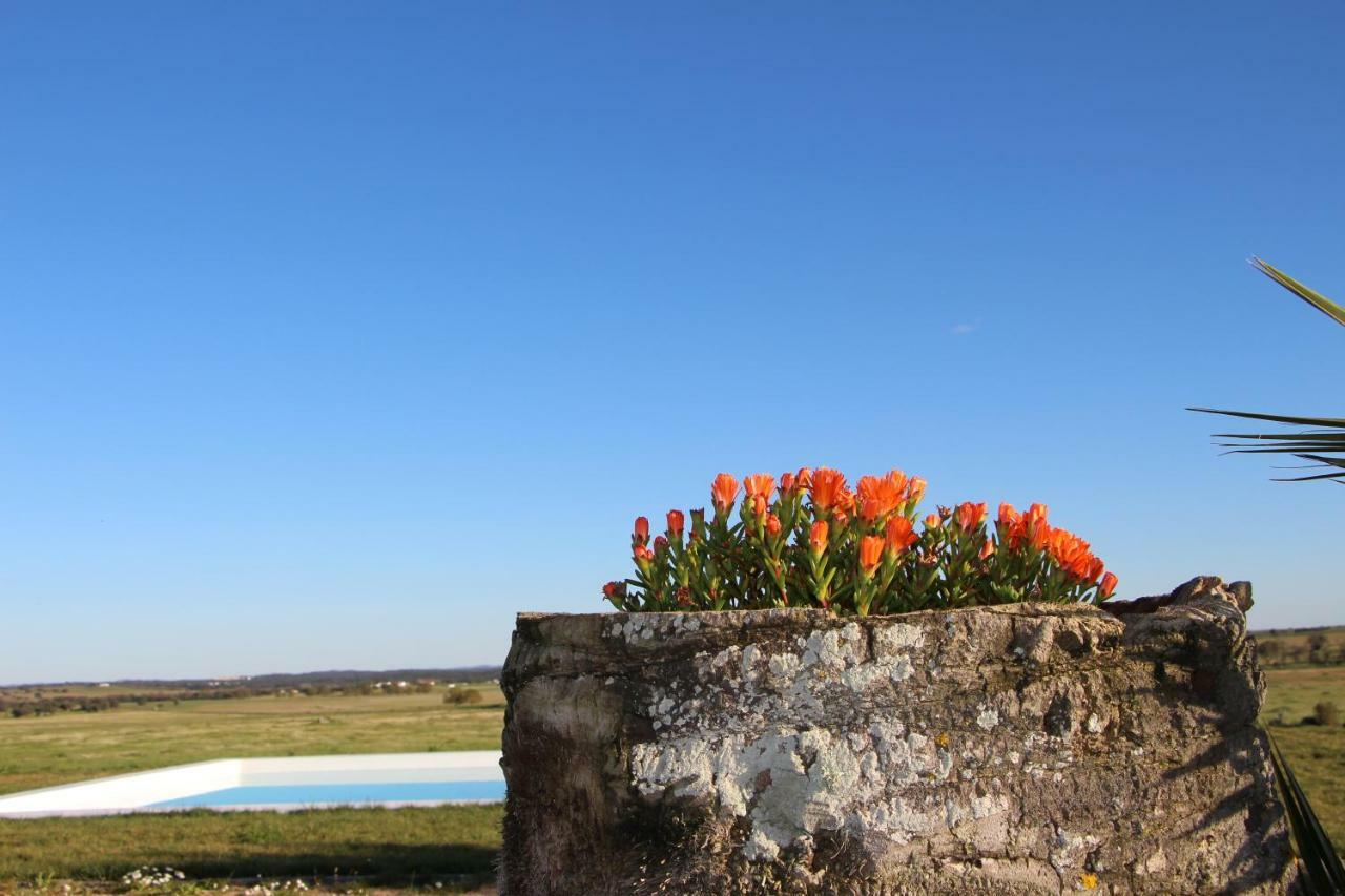 Vila Monte Da Azarujinha Azaruja Exteriér fotografie